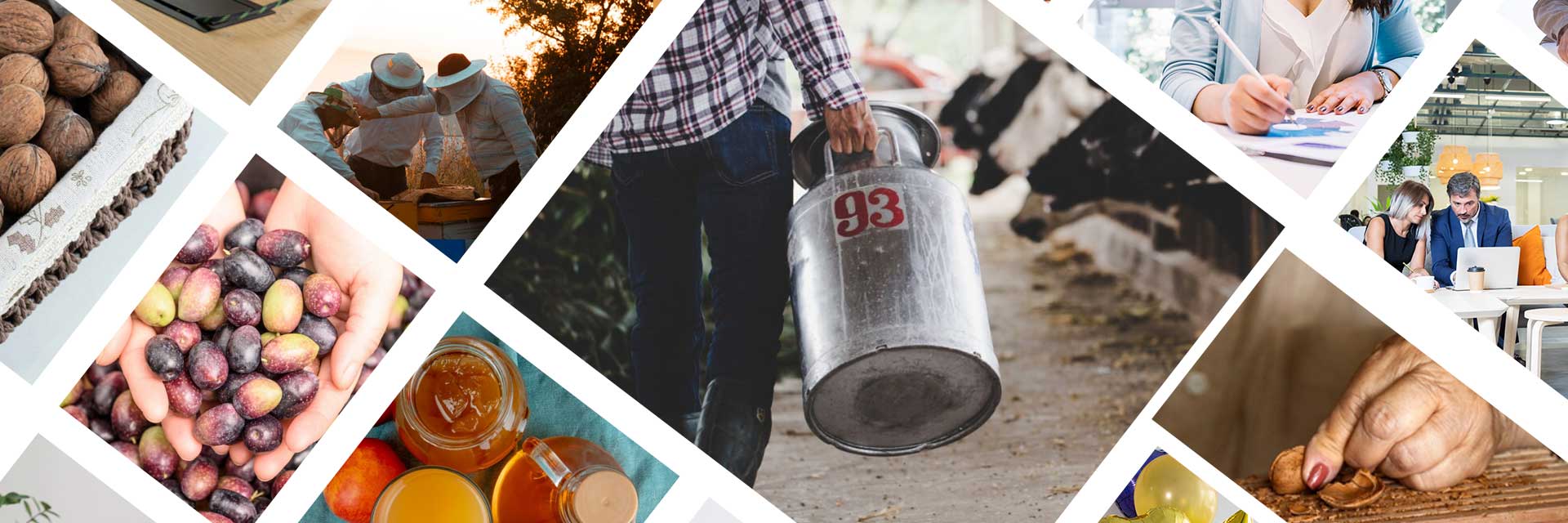 Logiciel de gestion pour coopératives agricoles - OPERACIUM