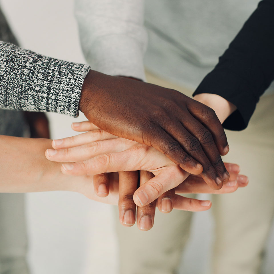 Gestion des adhérents et membres de coopérative