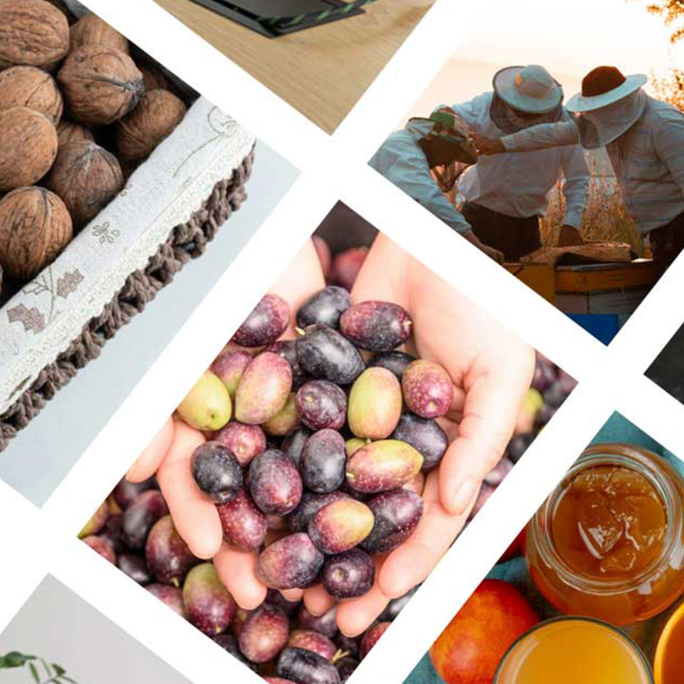 Collecte lait, olives, céréales - OPERACIUM