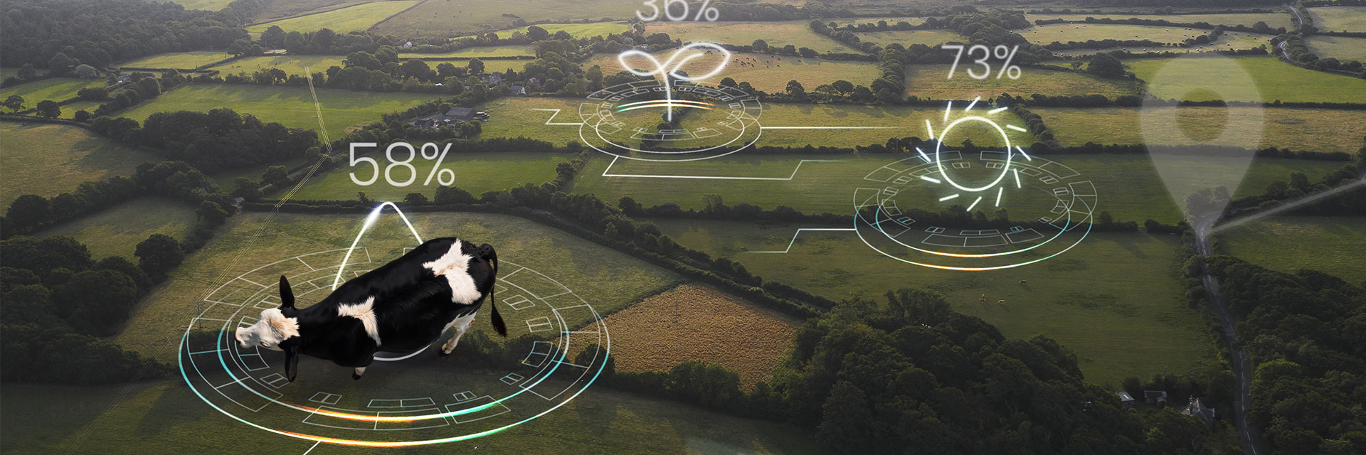 Logiciel de gestion des coopératives agricoles